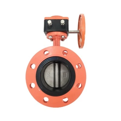 Katup Kupu-kupu Tipe Flange Ganda