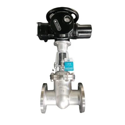 Katup Pintu Air Bermotor