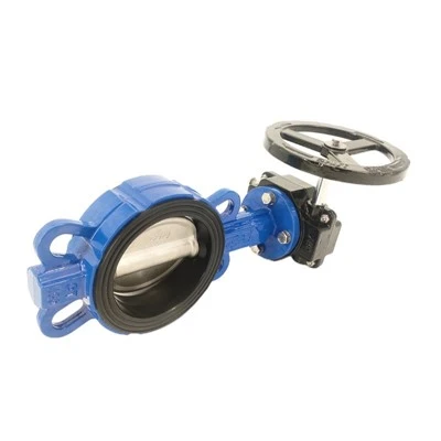 Bisakah Butterfly Valve Digunakan Untuk Kontrol Aliran?