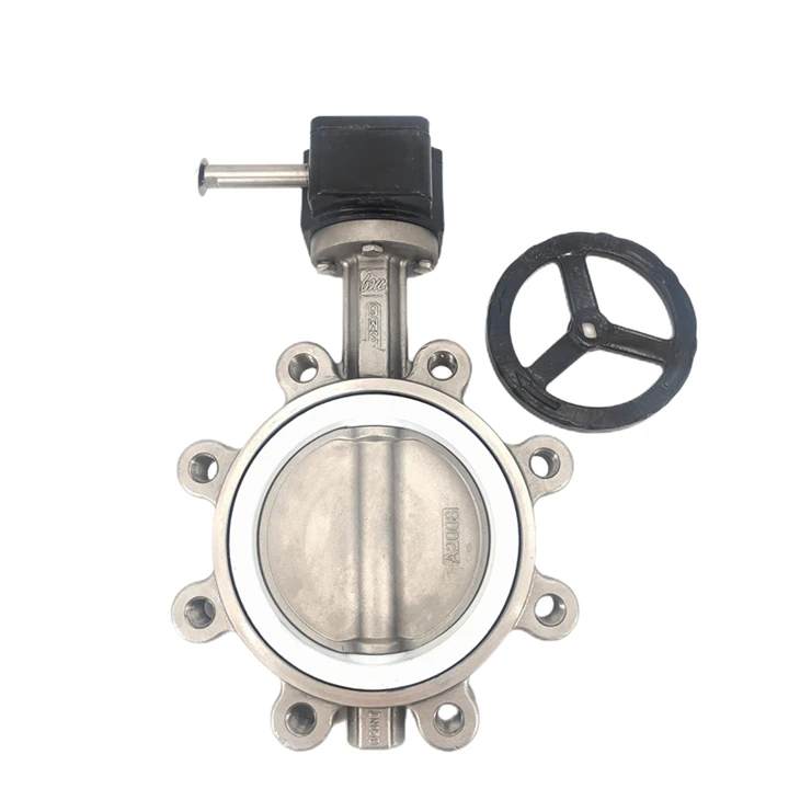 Katup Kupu-Kupu PTFE Tipe Lug Worm Gear 316L