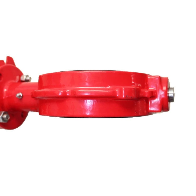 Butterfly valve for oil platform detail